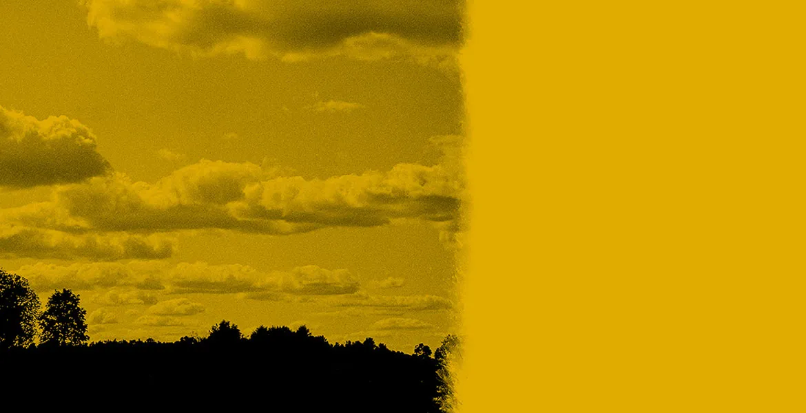 Мультимедиальная выставка “Невидимые жизни”