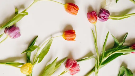 T/c “Origo” Lieldienās strādās ierastajā režīmā