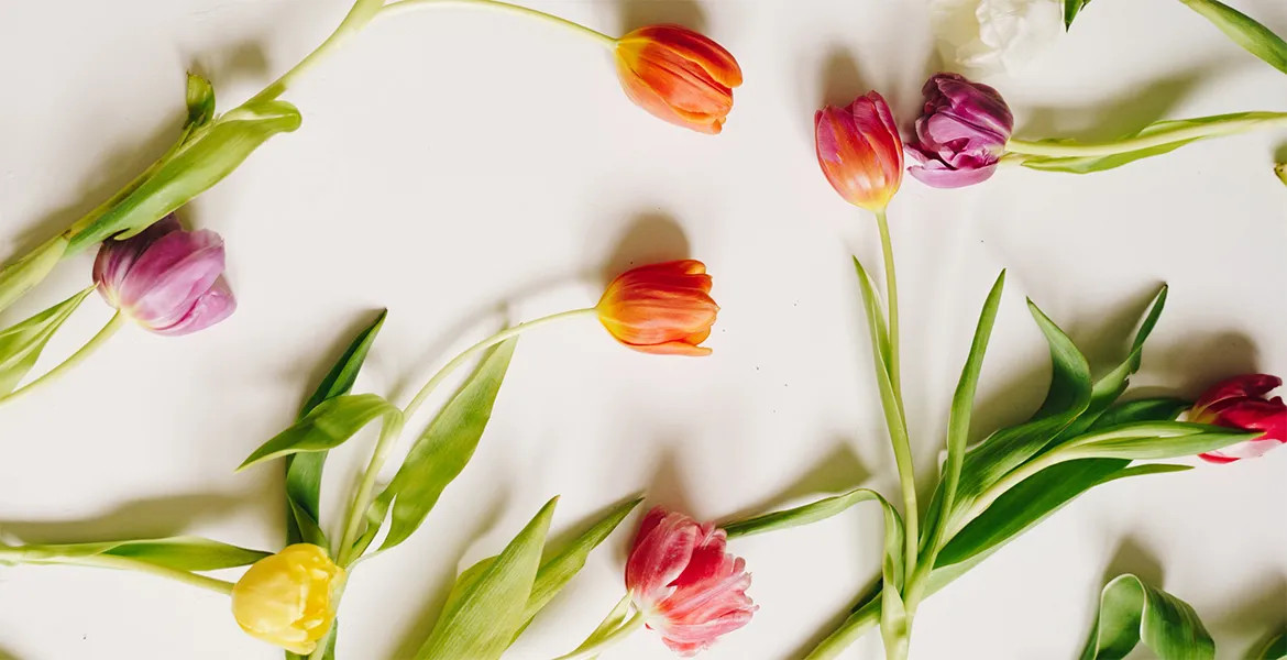 T/c “Origo” Lieldienās strādās ierastajā režīmā