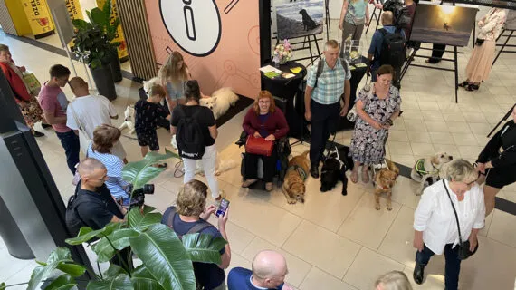 Atklāj fotoizstādi par servisa suņu ikdienu